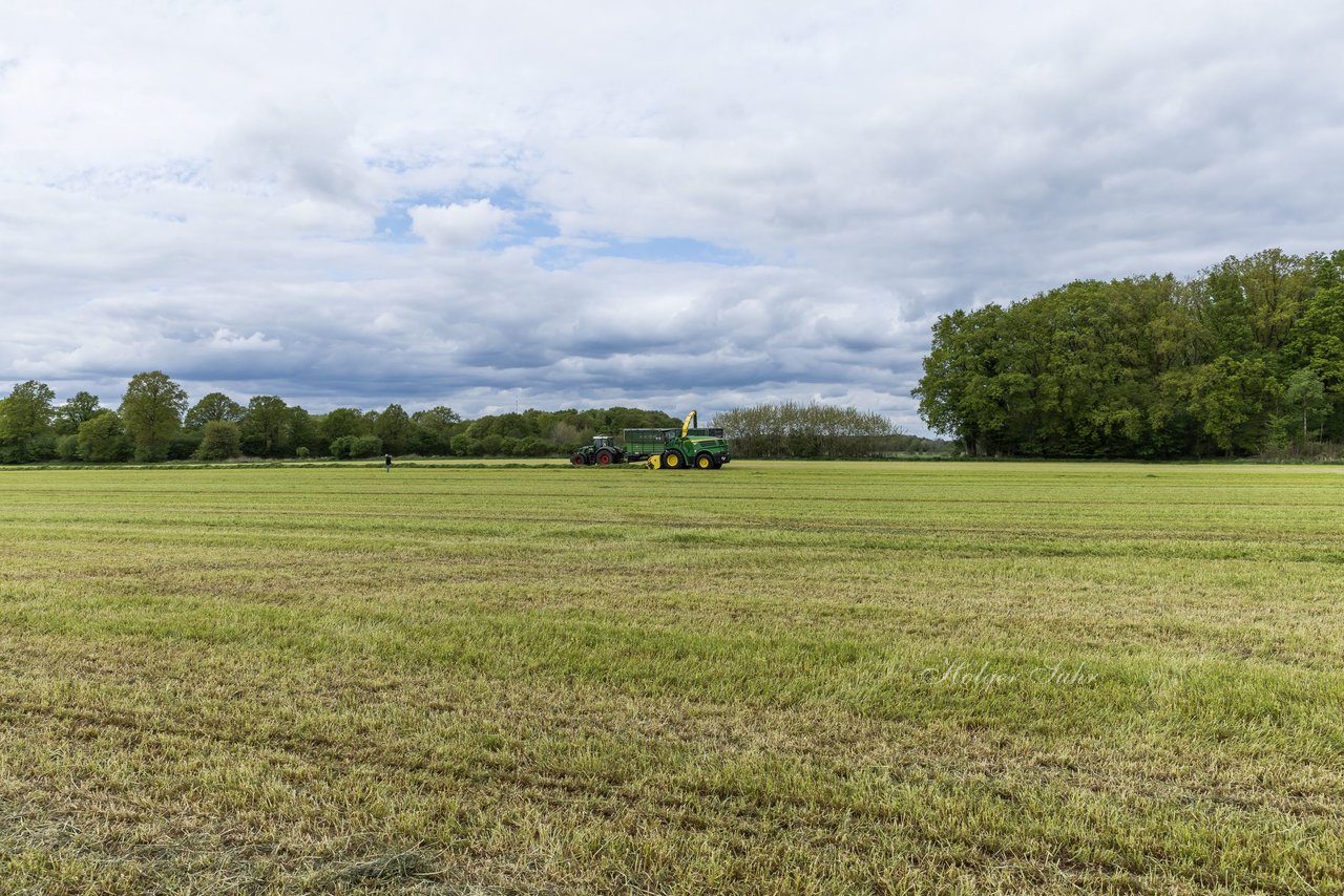 Bild 209 - Kruppa 30-jaehriges Jubilaeum